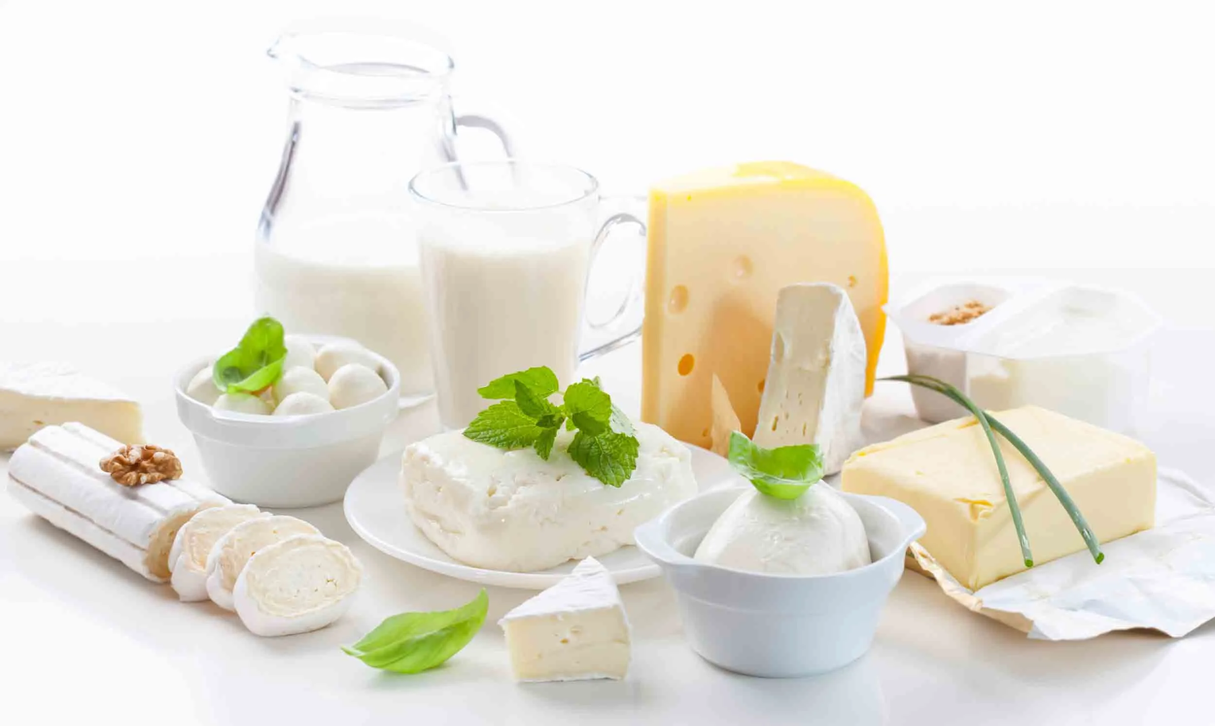 HS-Website---Dairy....jpg