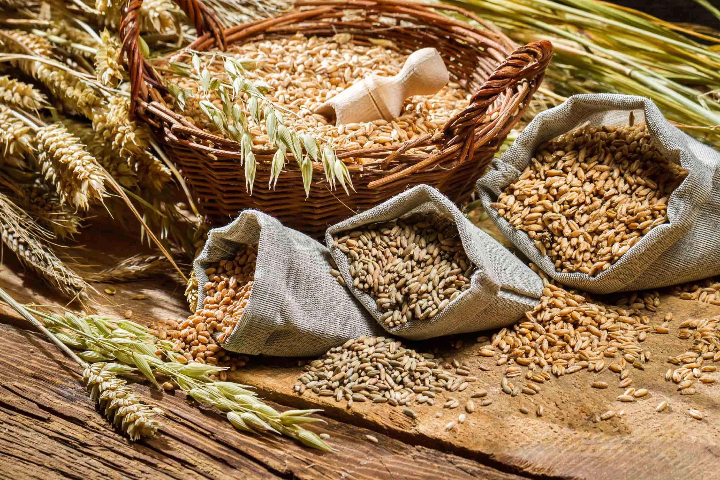 HS-Website---Seeds,-Grains,-Paste-&-Beans.jpg