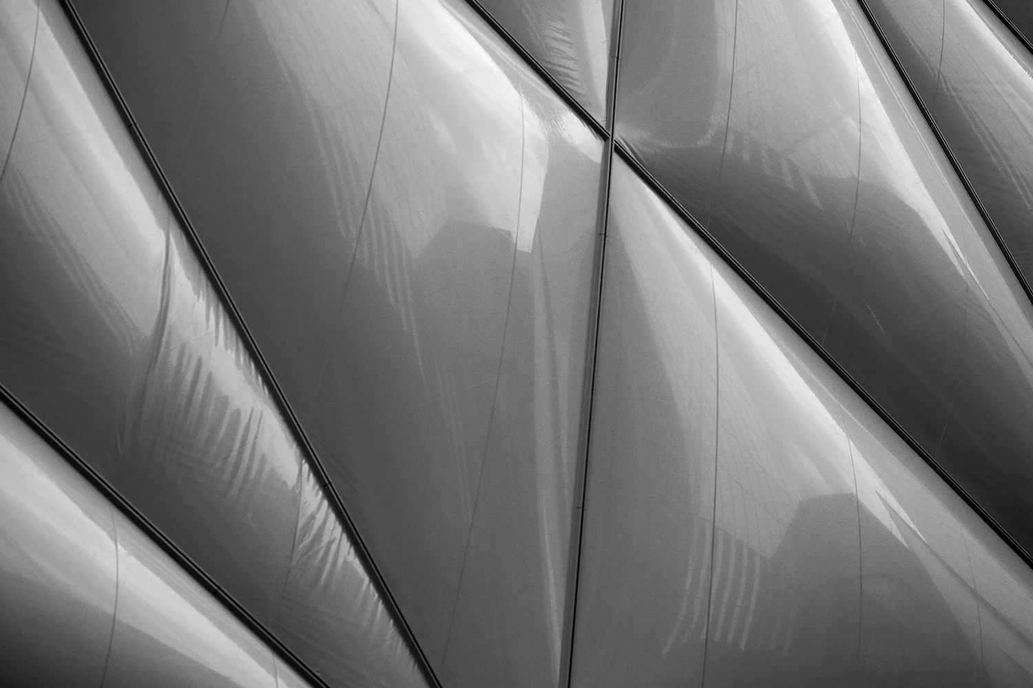 THE SHED X DILLER SCOFIDIO + RENFRO—NYC