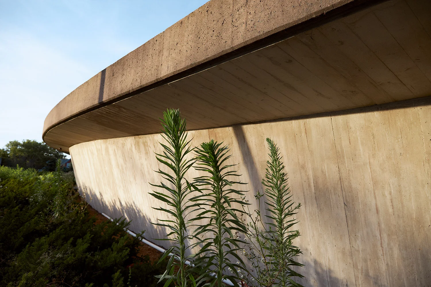INGALLS HOCKEY RINK X EERO SAARINEN