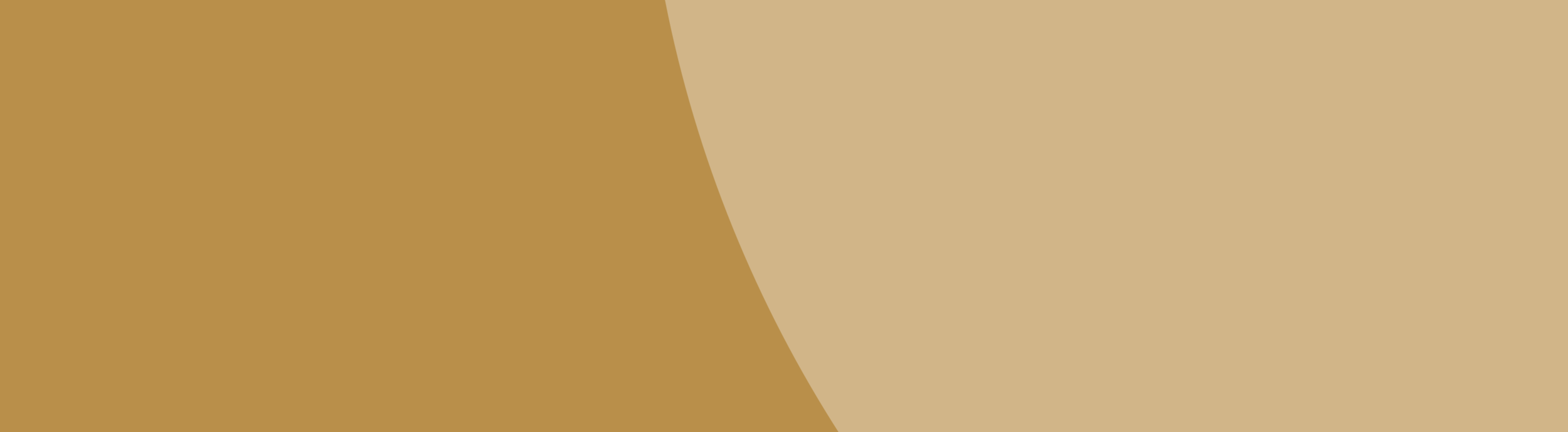 Solid logo2.png
