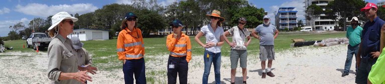 Mangrove Rehab 1.jpeg