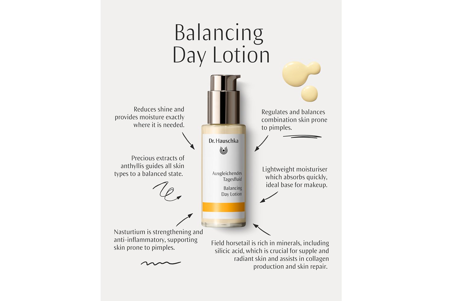 Dr. Hauschka Balancing Day Lotion infographic 28-1-2026.jpg