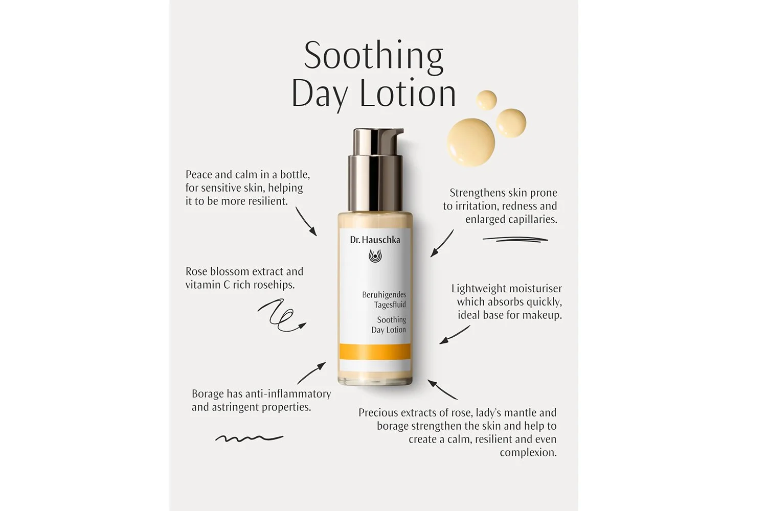Dr Hauschka Soothing Day Lotion infographic 28-1-2026.jpg