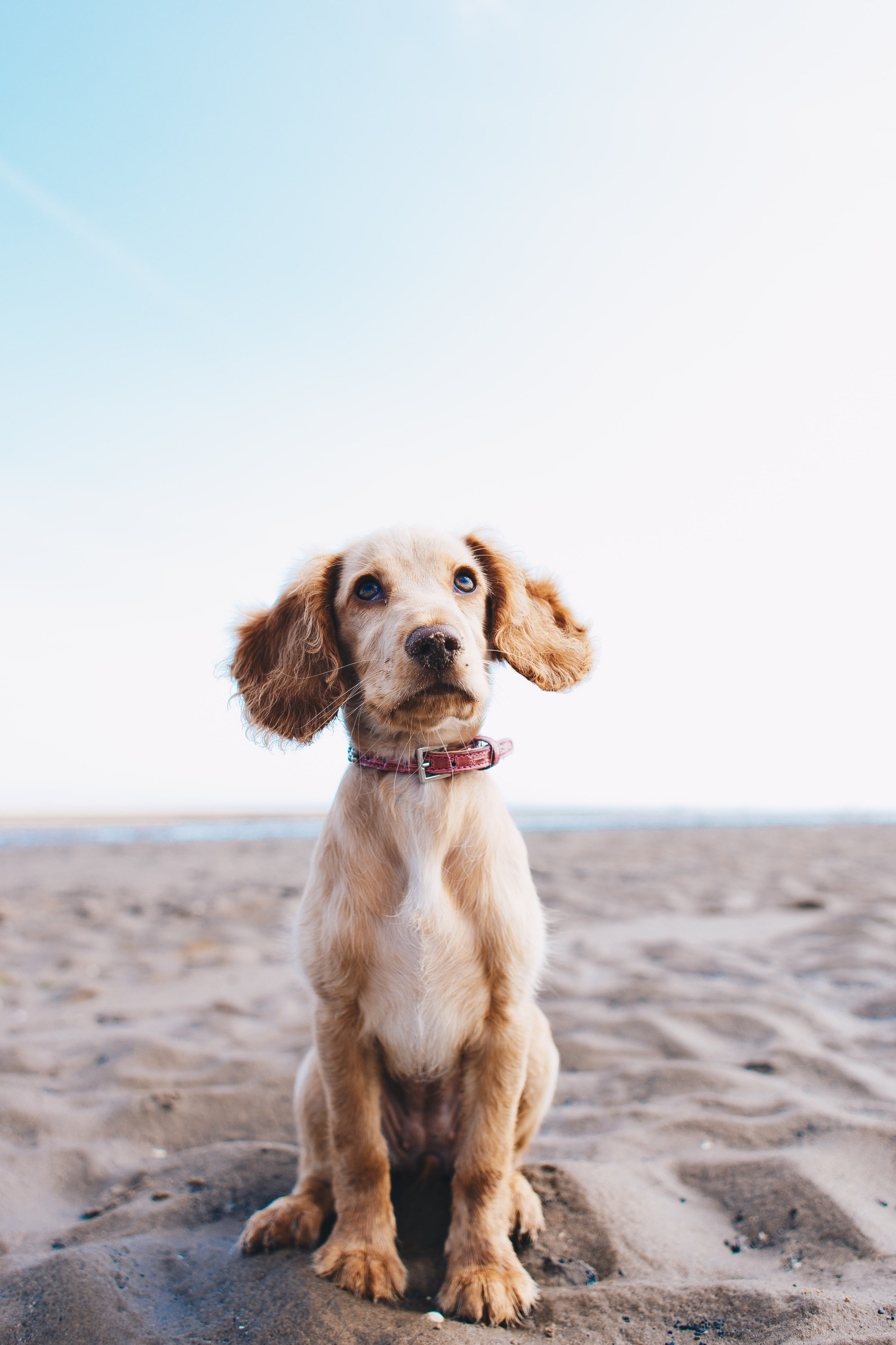 ryan-walton-367436-unsplash.jpg