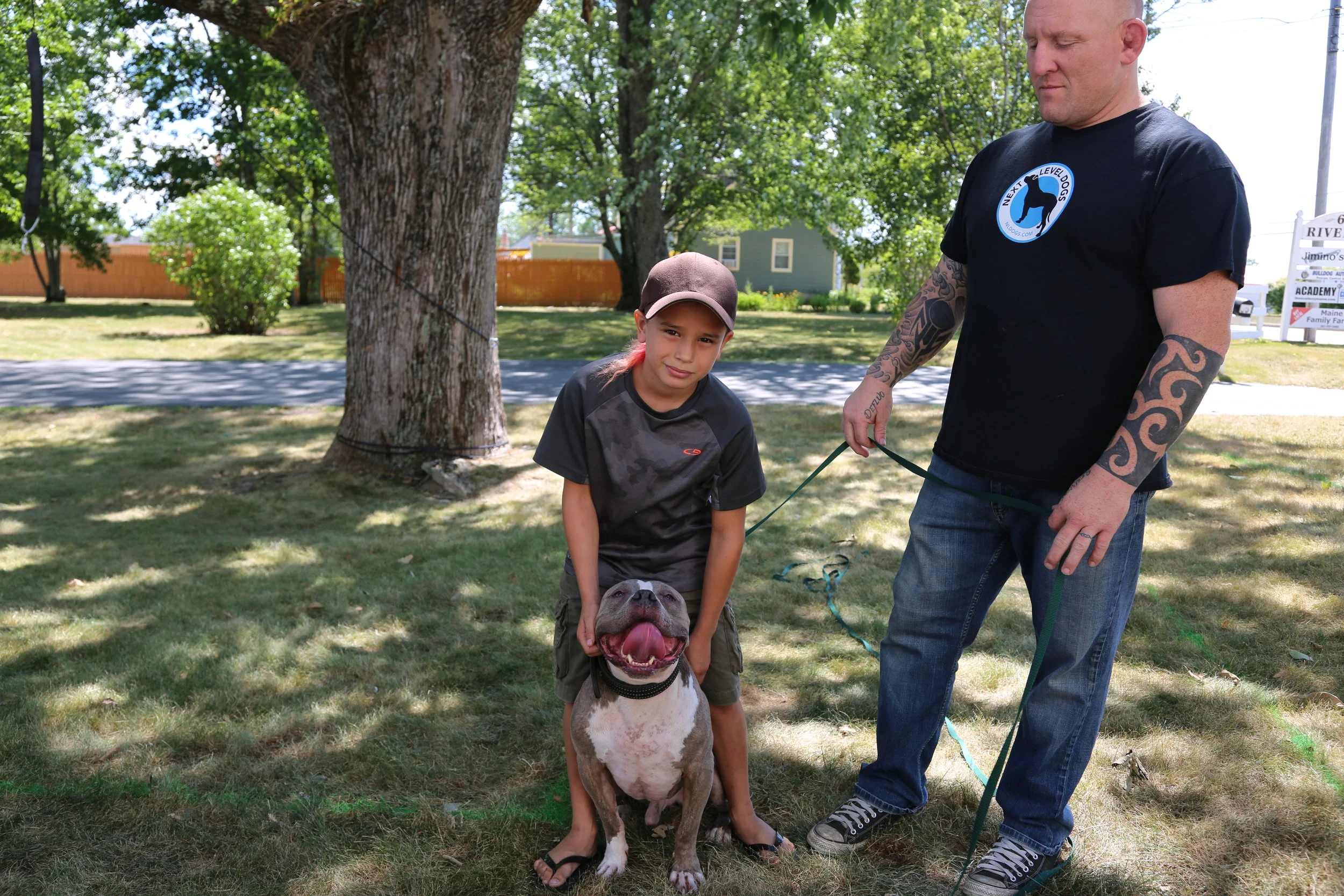 jay jack dog trainer