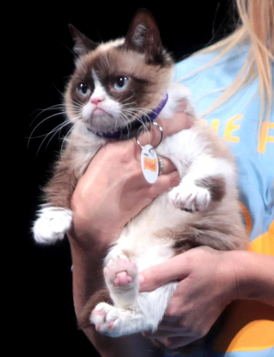 Grumpy Cat, GAGE SKIDMORE