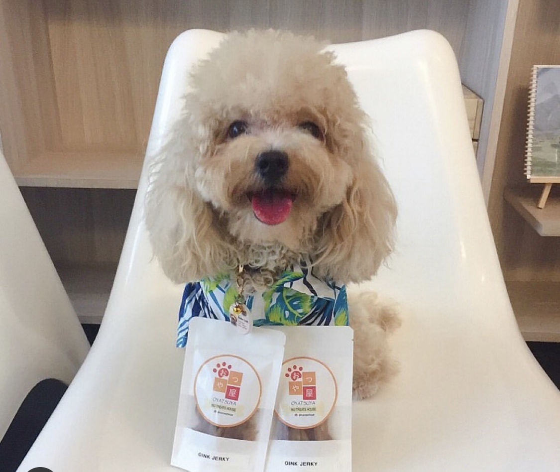 Visit them at: www.instagram.com/Inutreatshouse