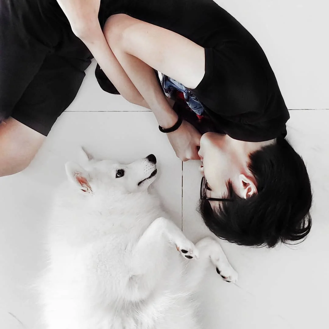 Photo credit . Visit their website at: http://aonhappytails.com/SG/Home