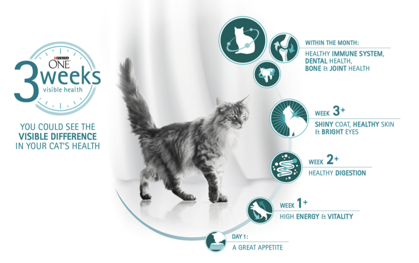 purina one challenge