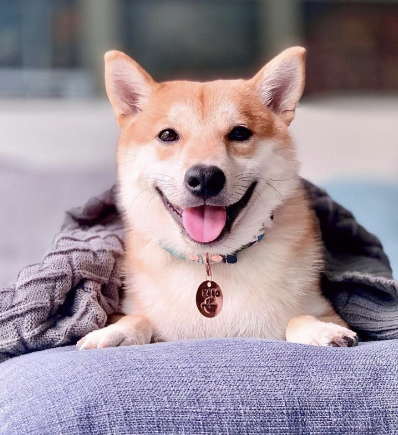 @taroiskaypo wishing you a happy day 💕