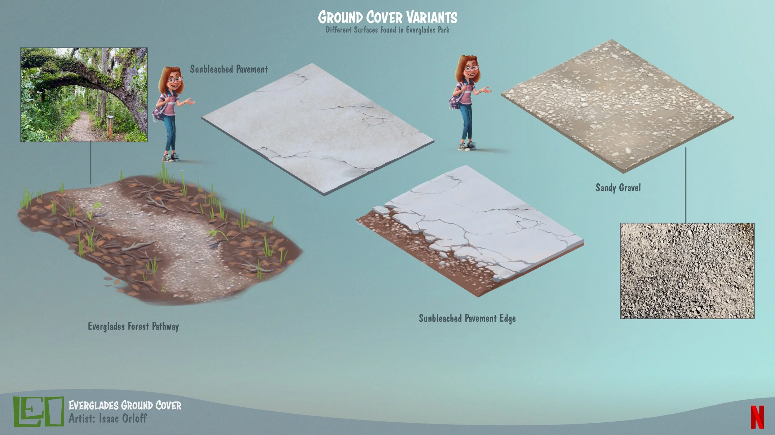 Leo_EvergladesGroundCover_Des_Color_V01.jpg
