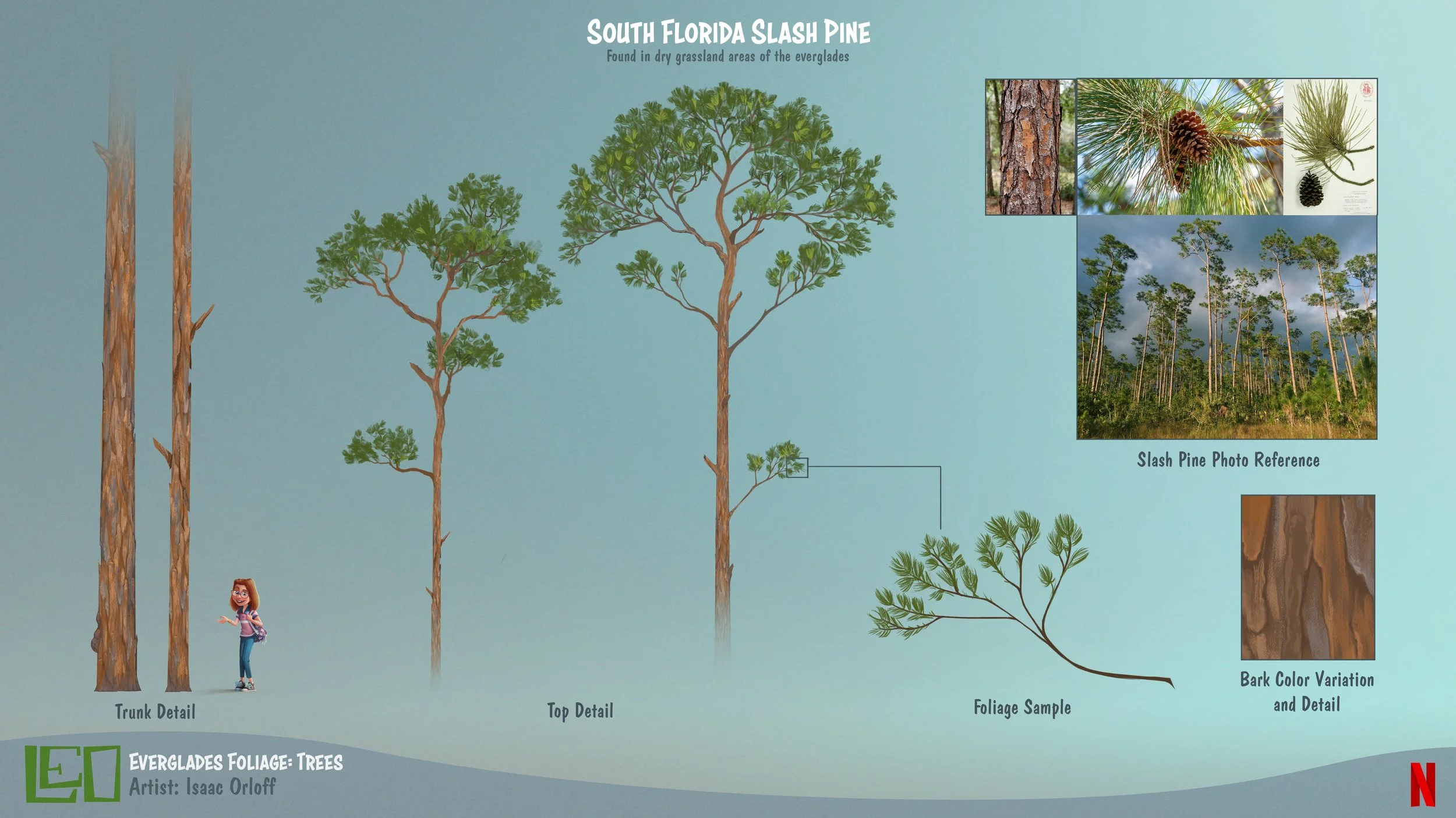 Leo_EvergladesSlashPine_Des_Color_V01_pg01.jpg
