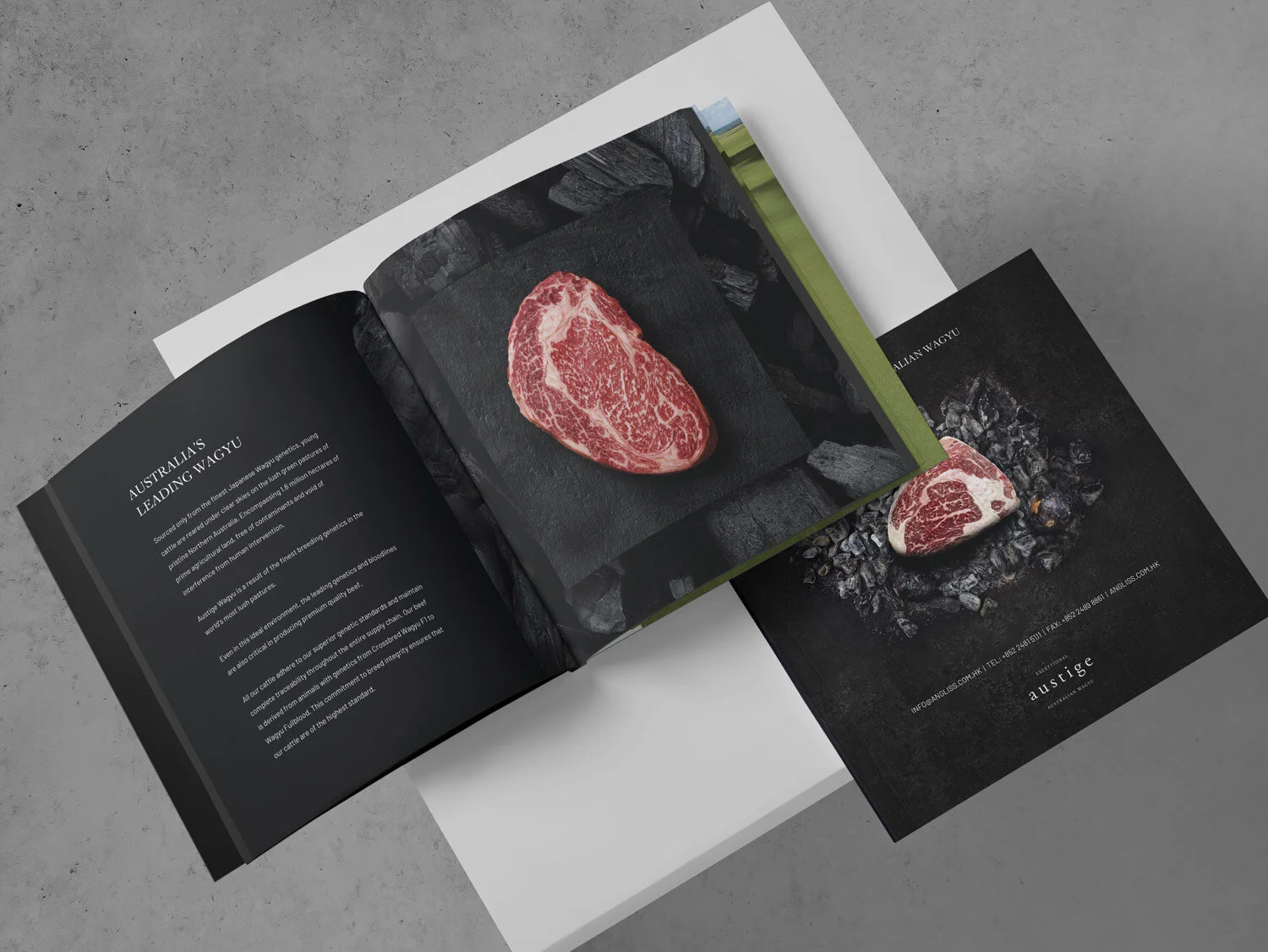hype-creative-branding-brochure-design.jpg