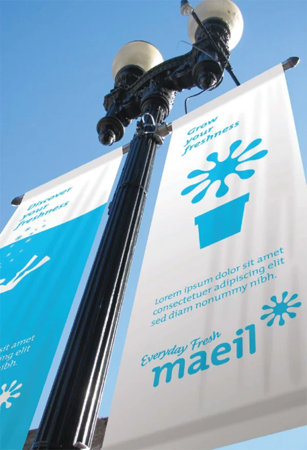 M_11 copy.jpg