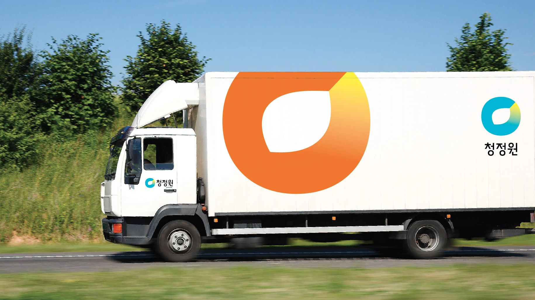 cjo-bi11.jpg