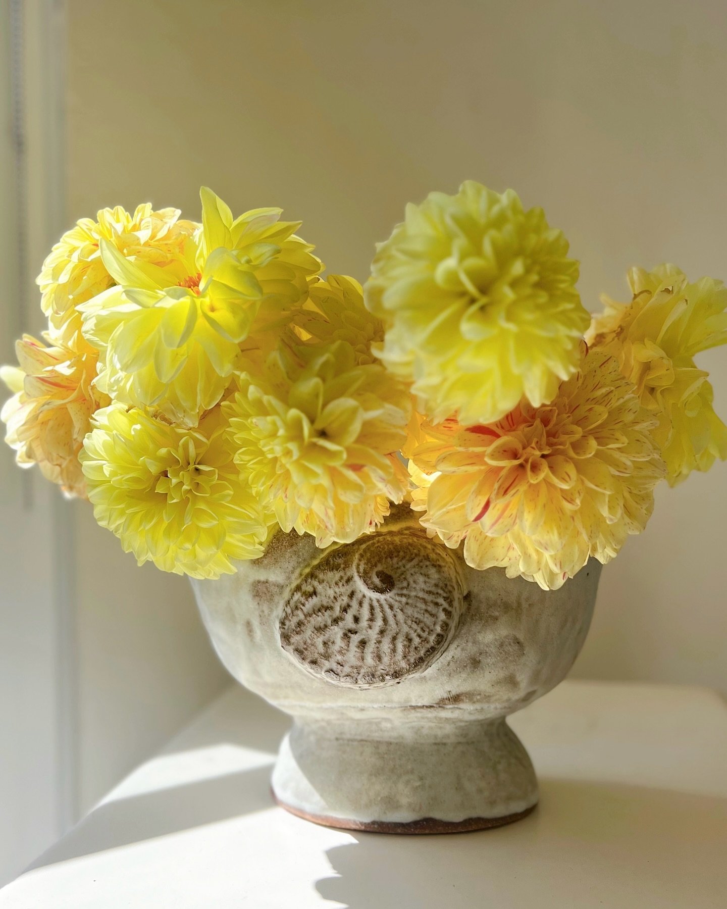 Happy weekend! These lovely dahlias from @bondifarmersmarket were the centrepiece at my workshop at Will &amp; Co last Saturday and have been bringing me joy all week. And this Shell Mantel vase is part of a new series I&rsquo;ve been working on and 