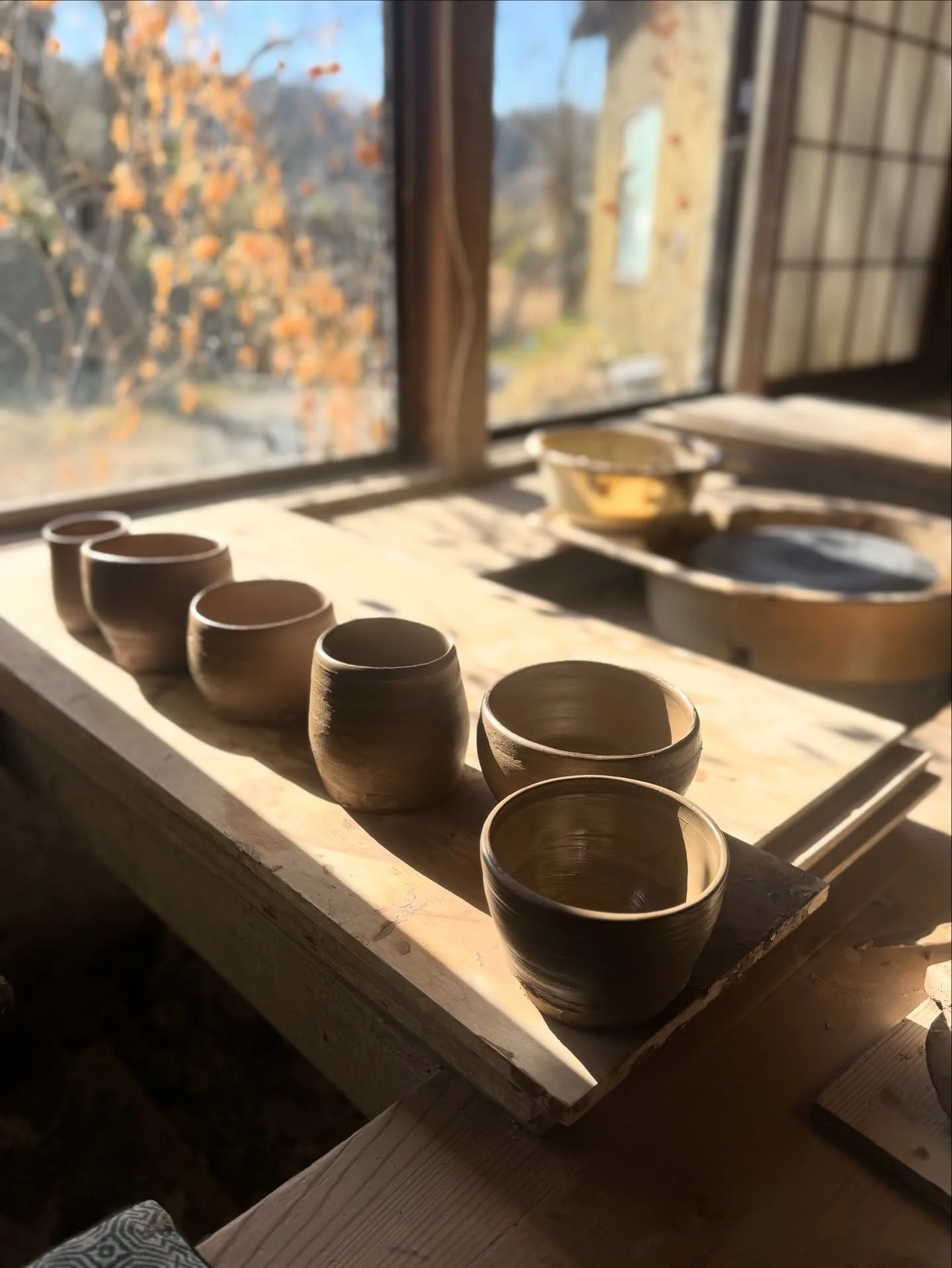 Japan 2026 week two: Hakone-Tokyo-Mashiko-Tokyo. Onsens, amazing meals, outdoor art and a wheel class @kobofuwari. Fabulous! 

Catherine 🇯🇵🇯🇵🇯🇵