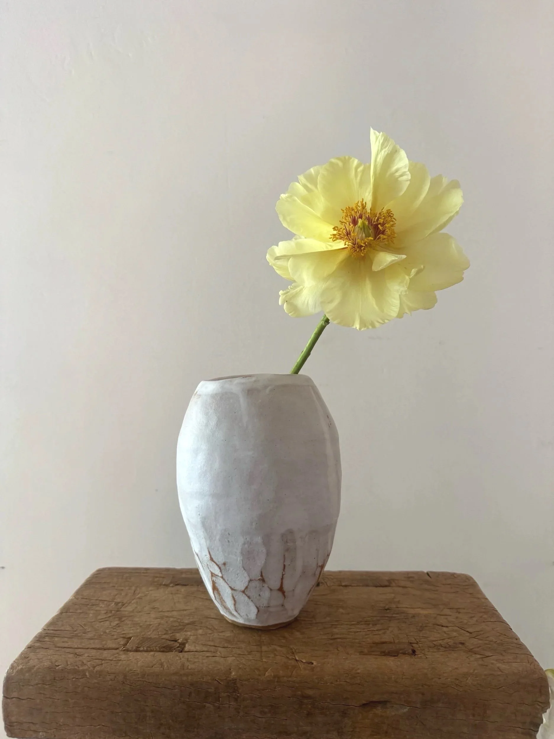 Splendid Handmade Carved Vase #2