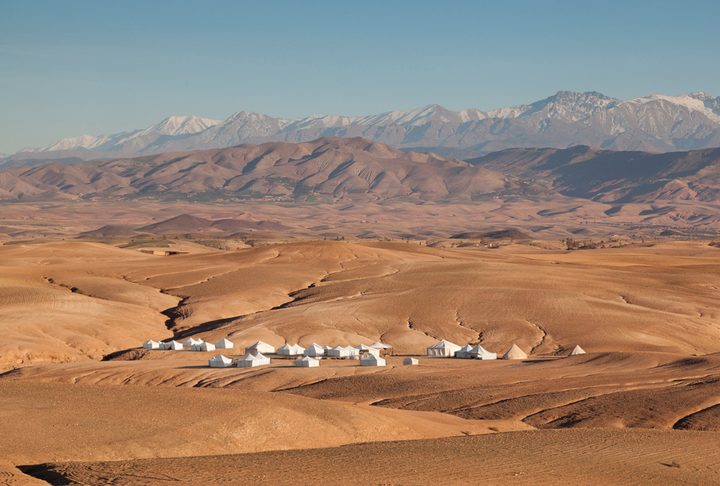 Scarabeo_654_ScarabeoCamp_By_SvenLaurent+-+copie.jpg