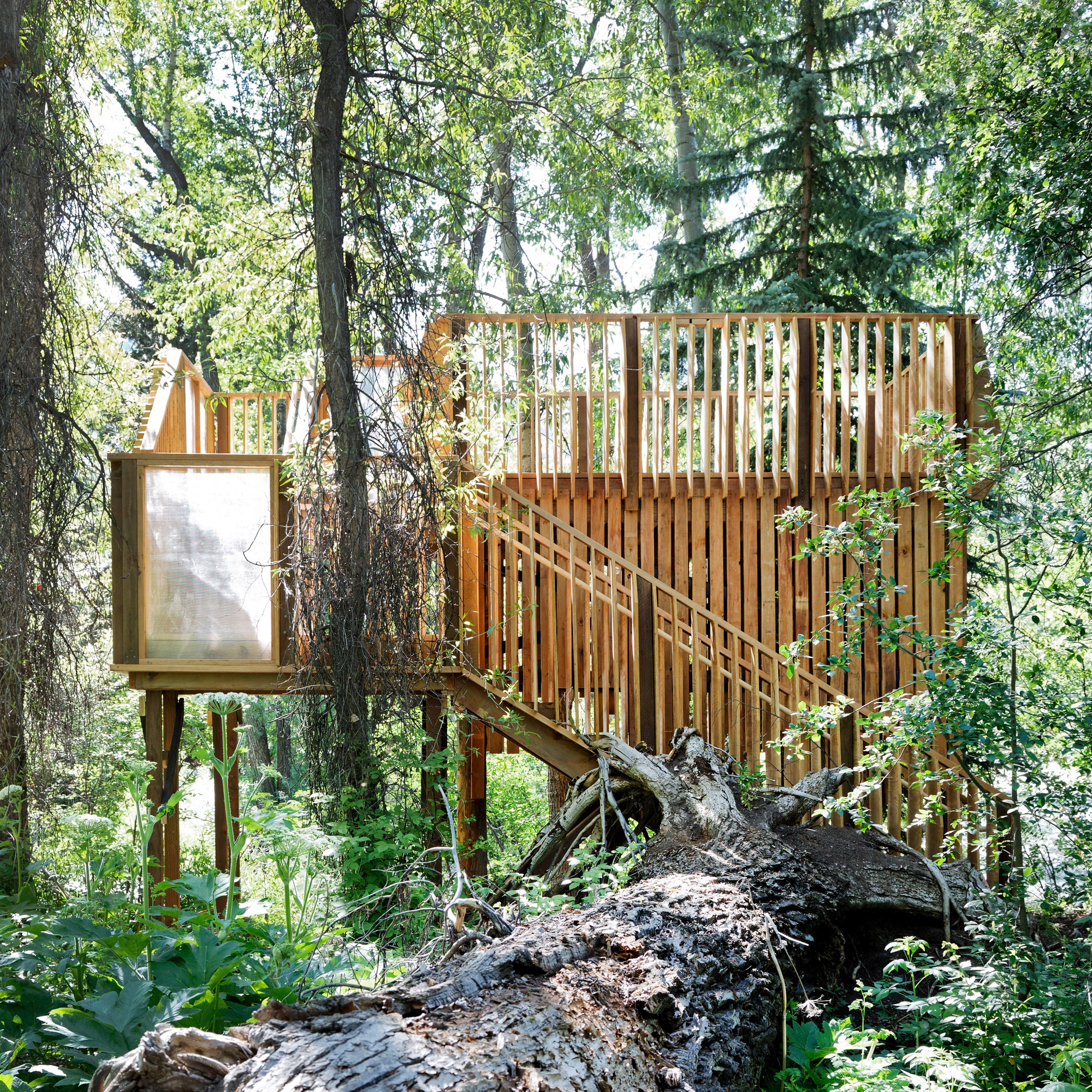 cool-architecture-tree-houses-fresh-in-excellent-aces-treehouse-charles-cunniffe-architects-aspen-colorado-dezeen-2364-sq.jpg