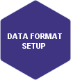 Data Format Setup (DFS)