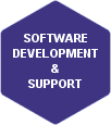 Software Development & Support