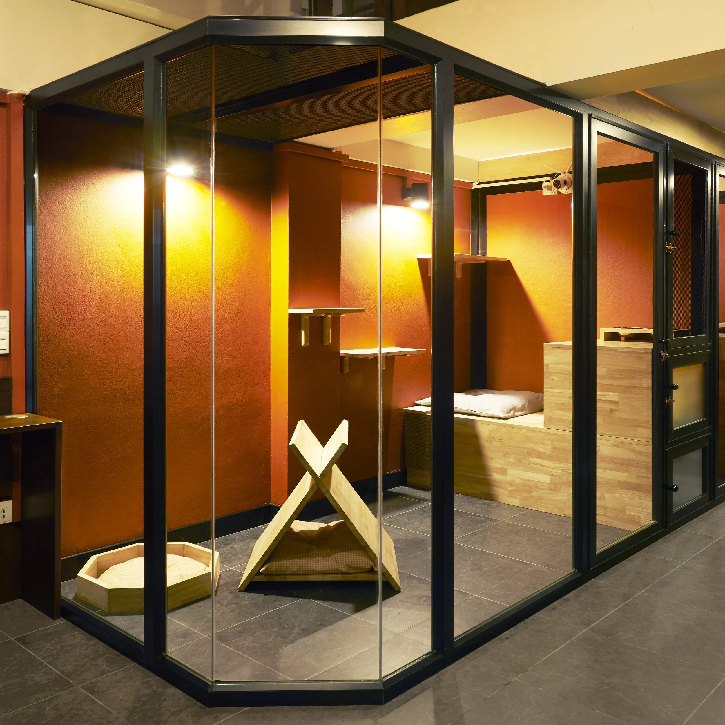 Cat Mama Deluxe Room2.jpg