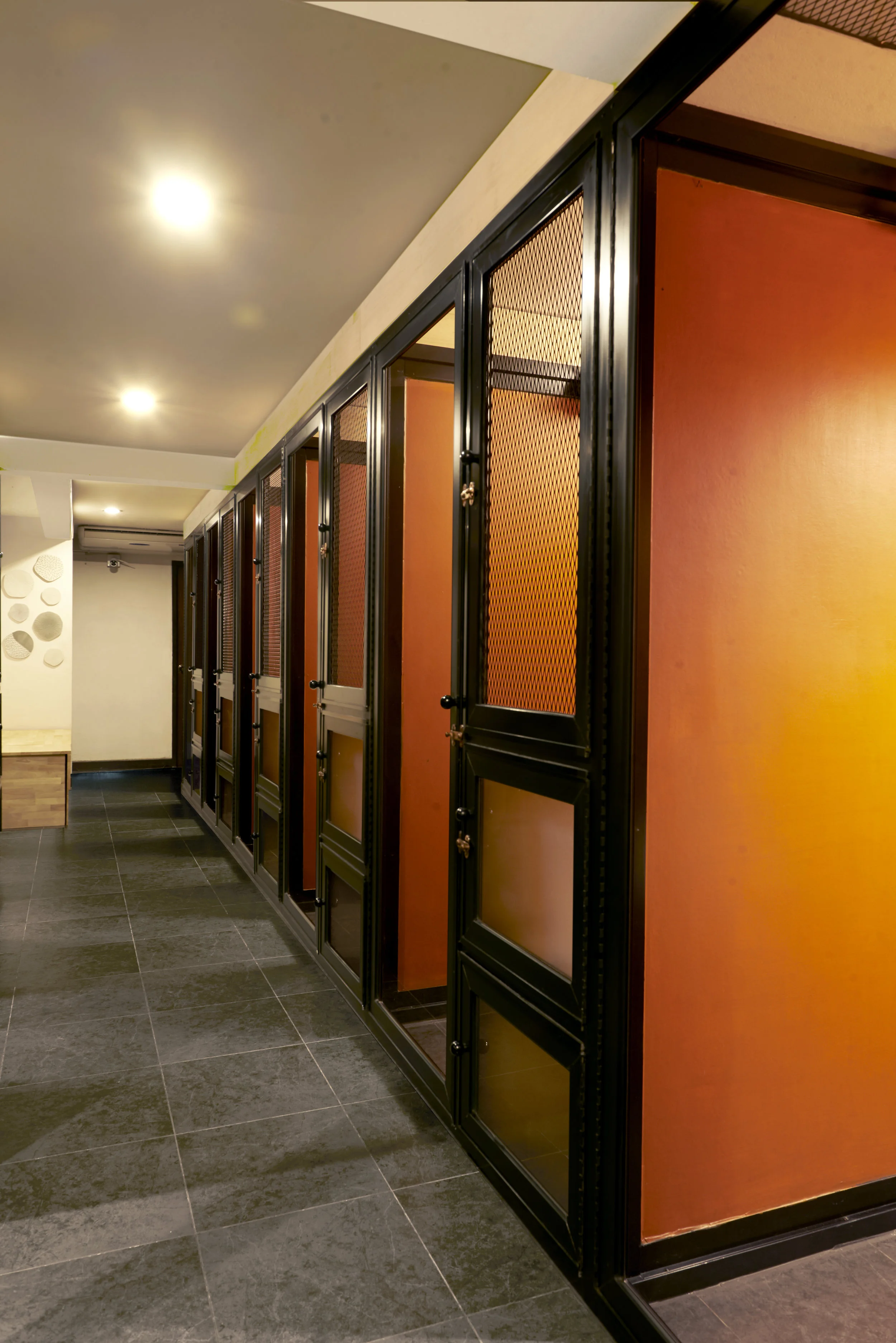 Hi-res Cat Mama Standard Room Walk.jpg