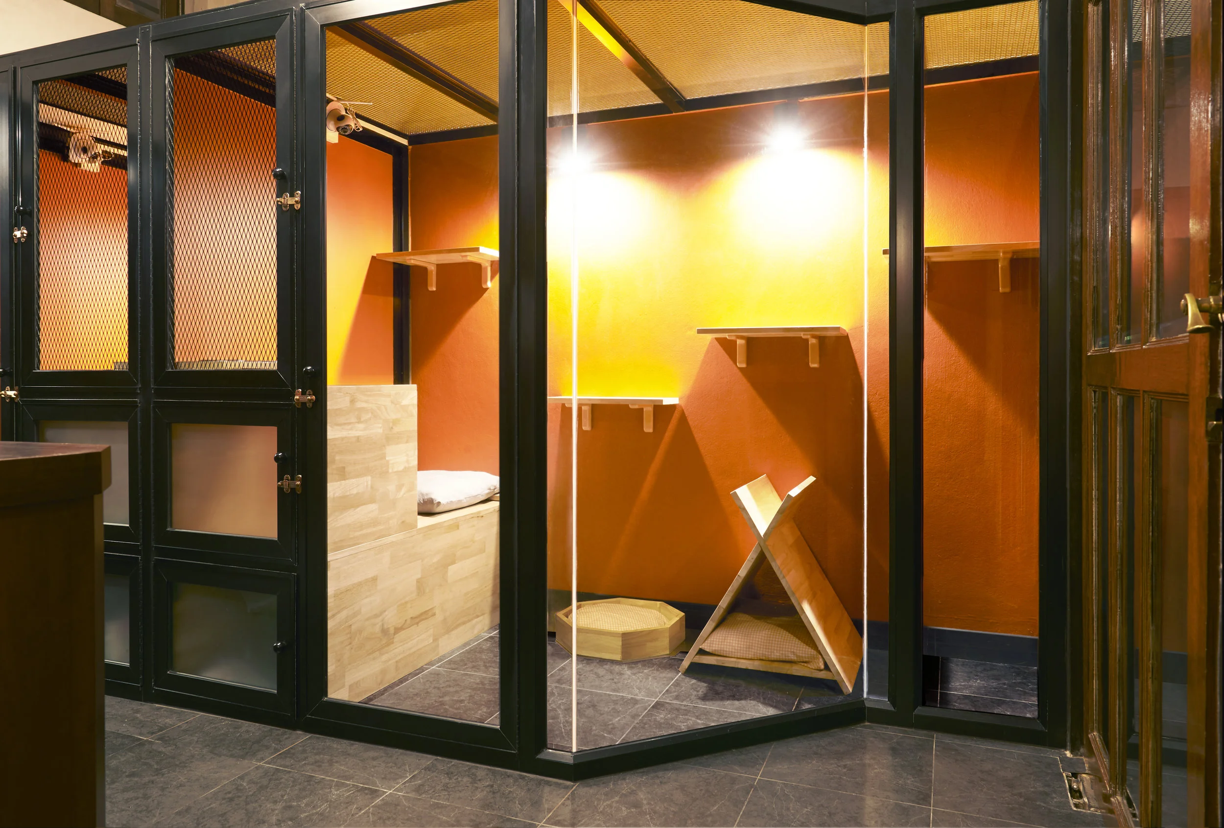 Cat Mama Deluxe Room1.jpg