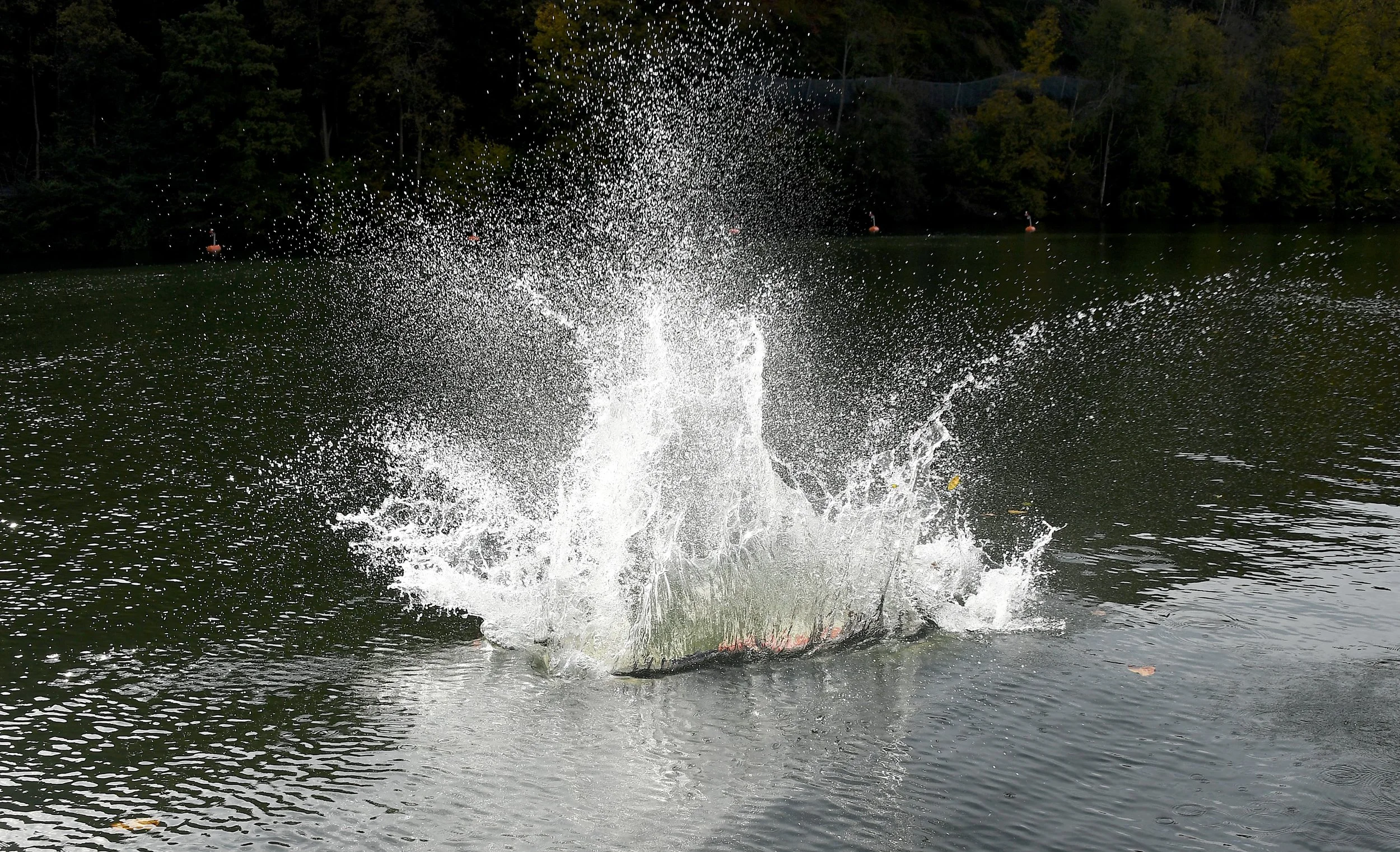 DSC_6612.JPG