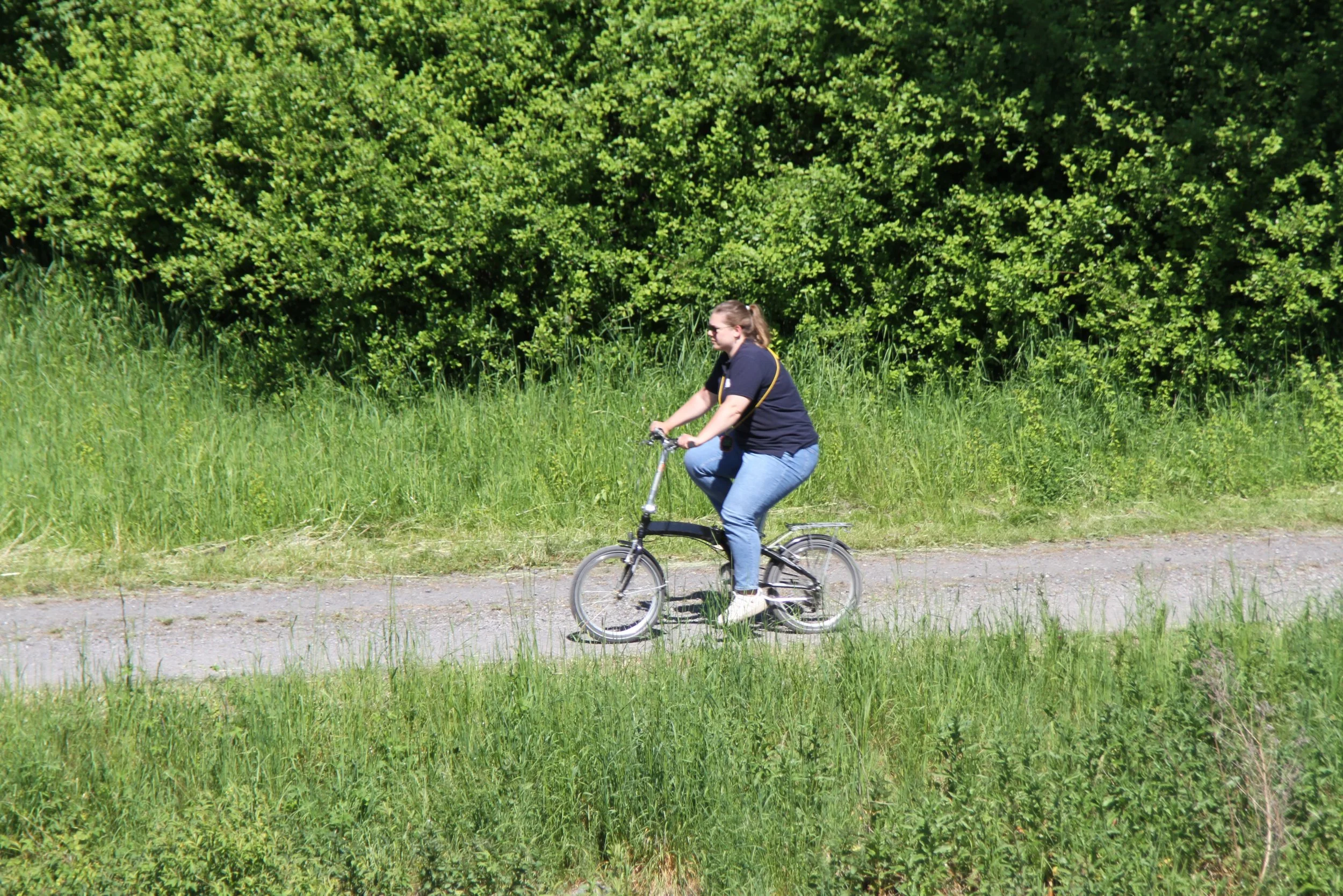 IMG_6850.JPG