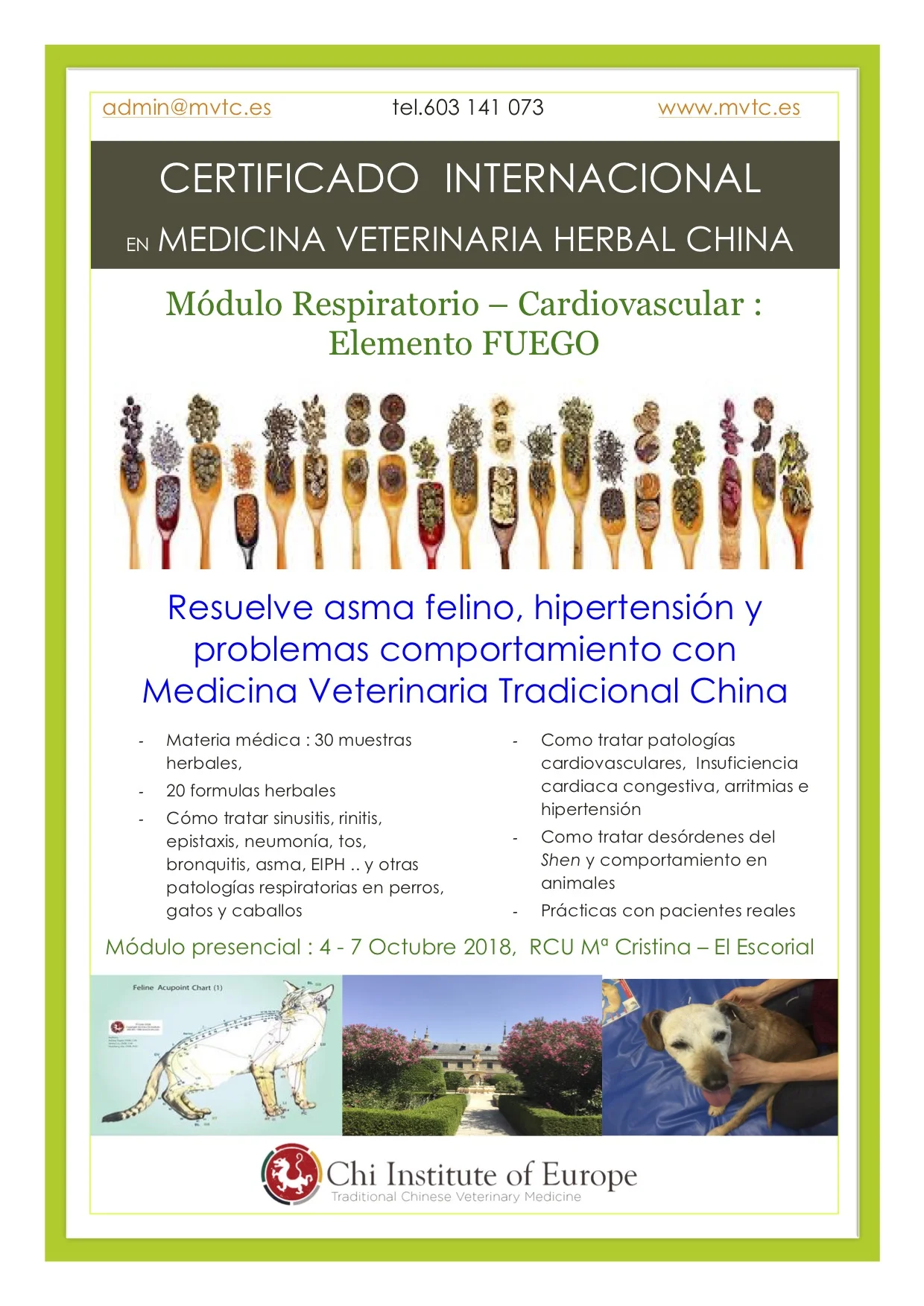 herbal cardio poster 3 .jpg