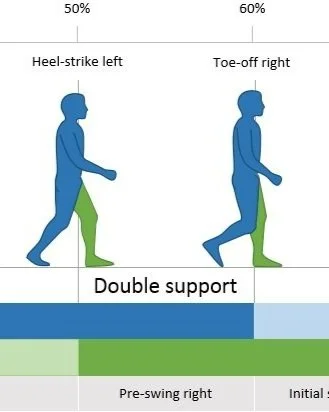 THE MOVING BODY - Walking Gait Analysis for Animation (Part I)