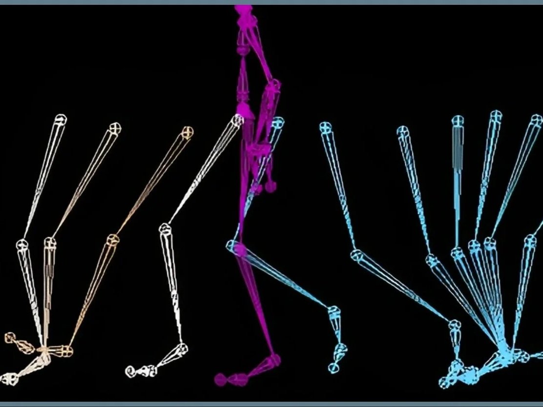 THE MOVING BODY - Walking Gait Analysis (Part III): Gait Deviations