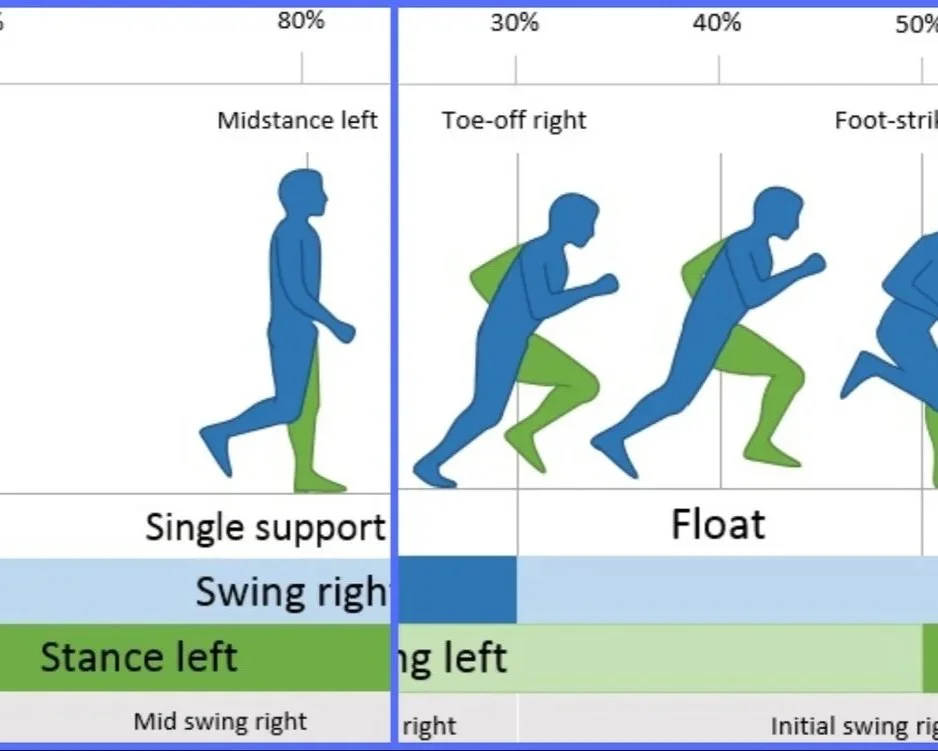 THE MOVING BODY - Walking Gait Analysis (Part IV): Gait speed and Running