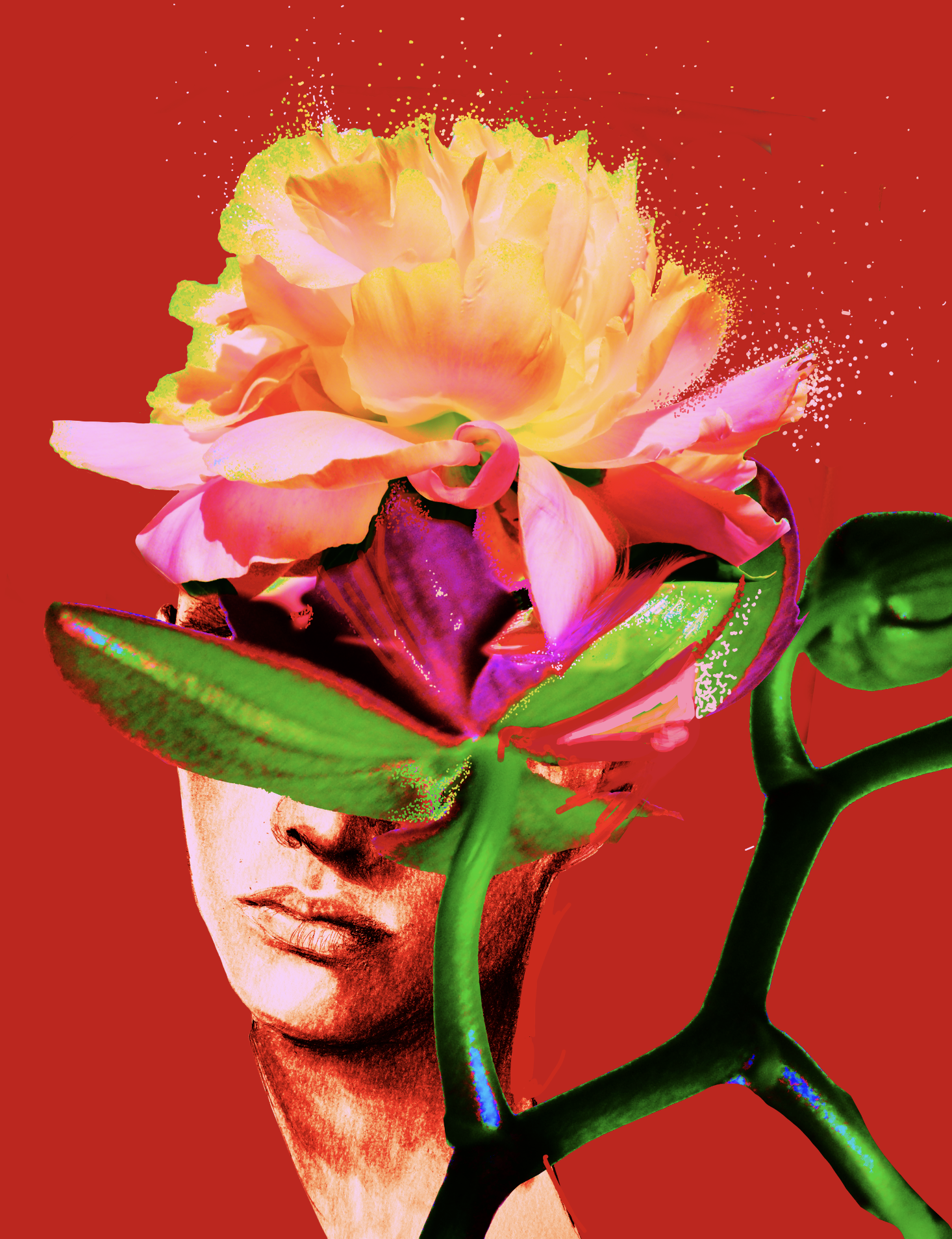 Schermafbeelding 2025-06-28 om 15.09.52.png