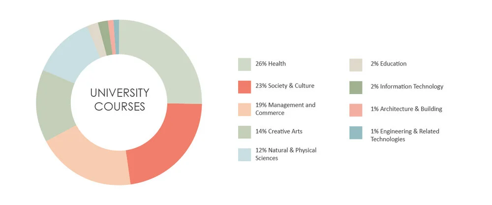 Pie chart of university courses