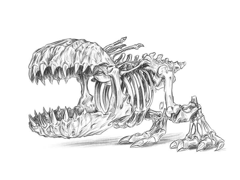 Skeleslog.jpg