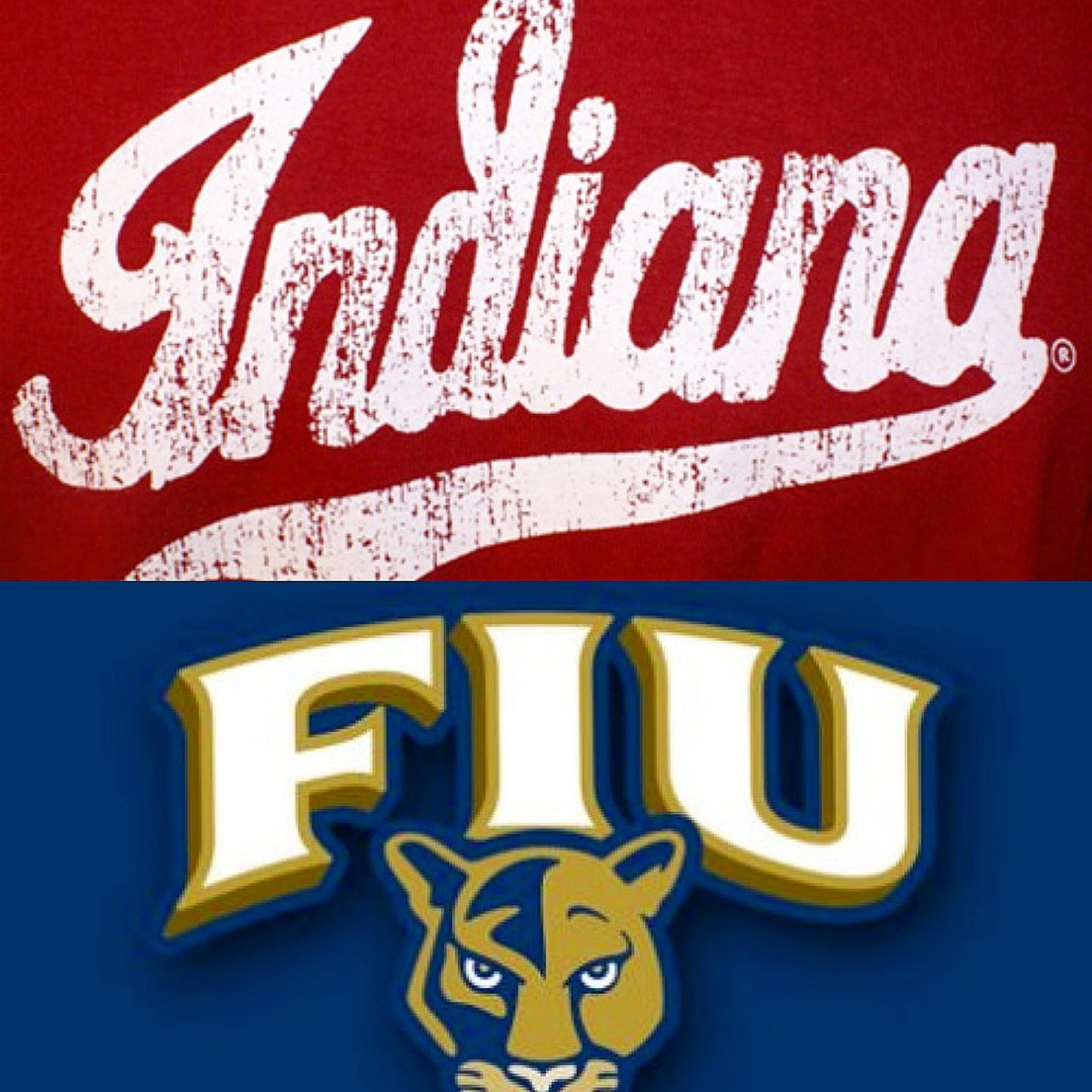 iu-fiu.jpg