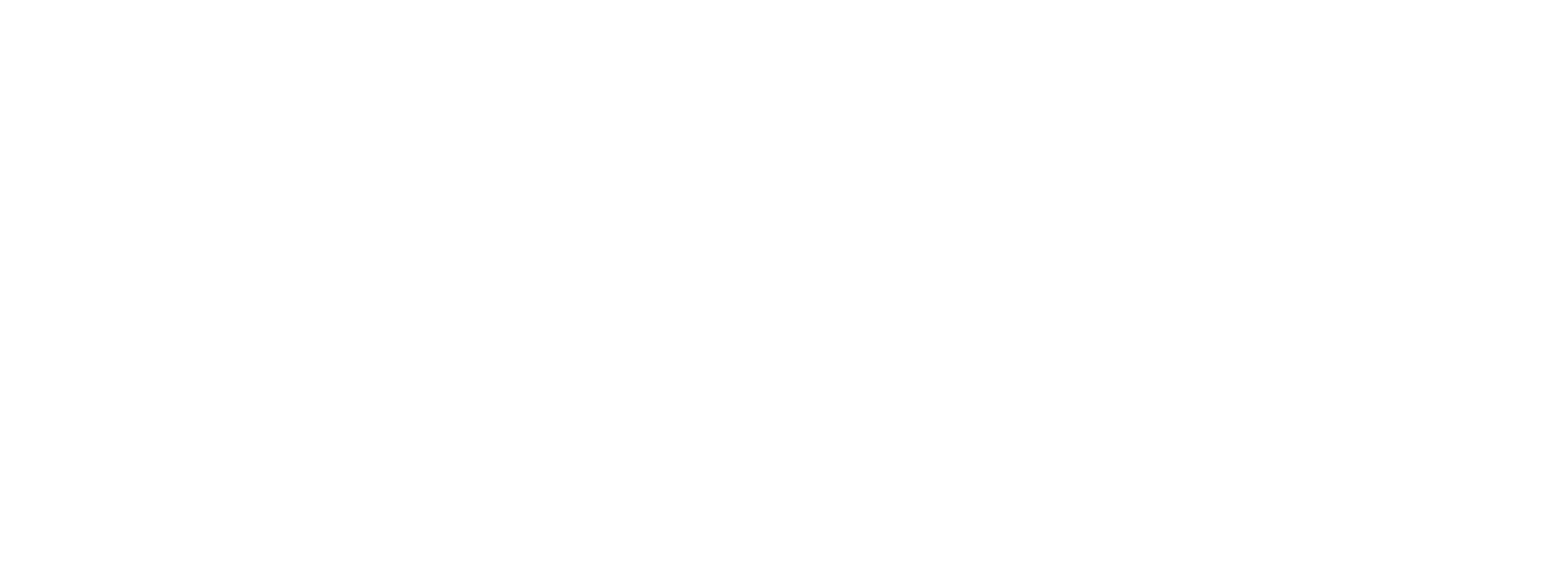 Two Birds & Co.