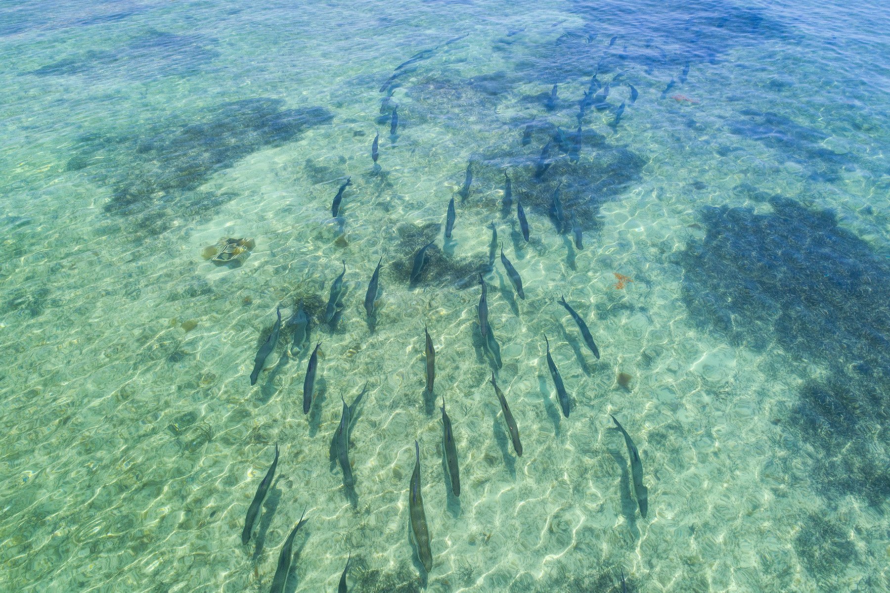 JSDR_220506_0963.jpg