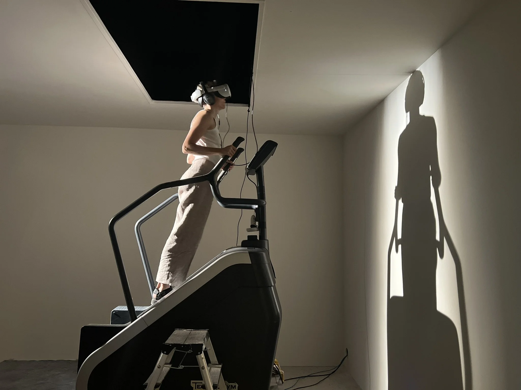 SLEEK - Interview mit Lilian Hess über Duchampiana