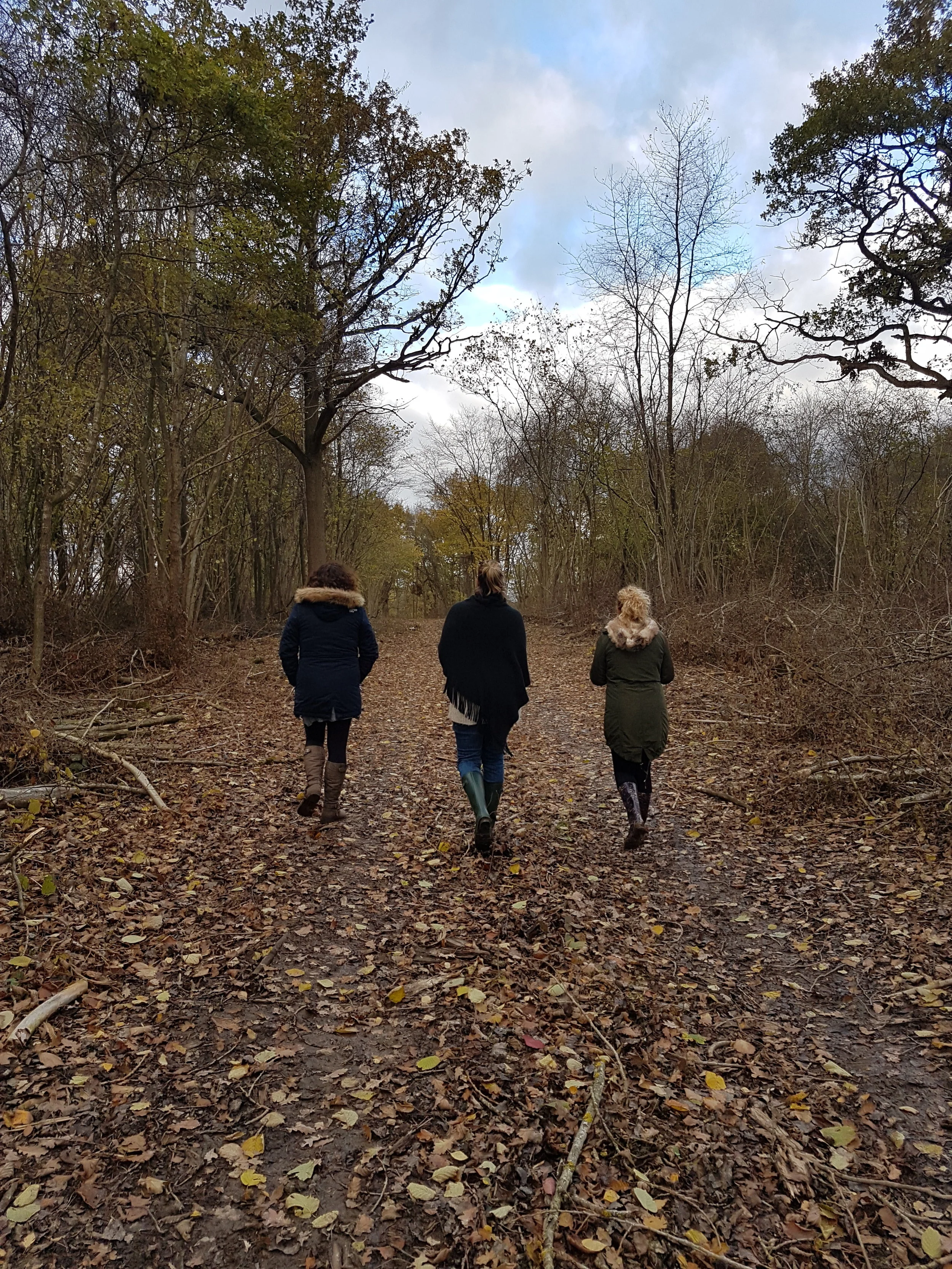 Workshops and Retreats.jpg