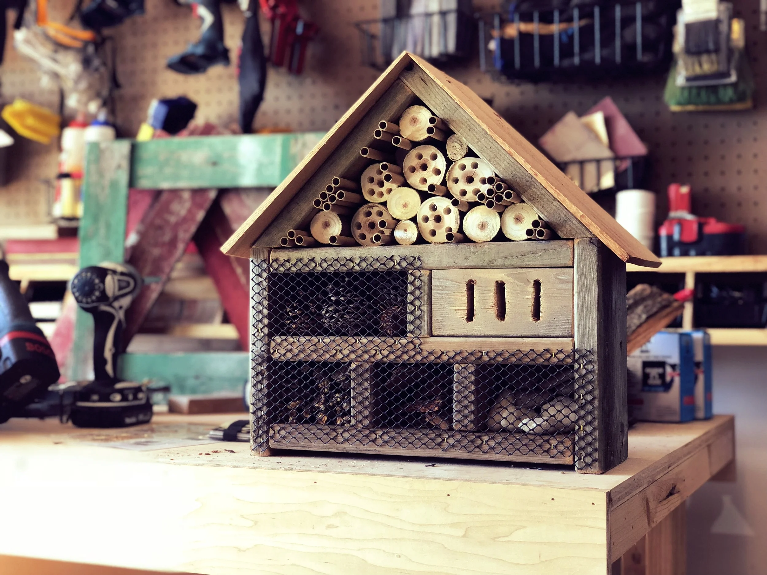 Netting without access for critters