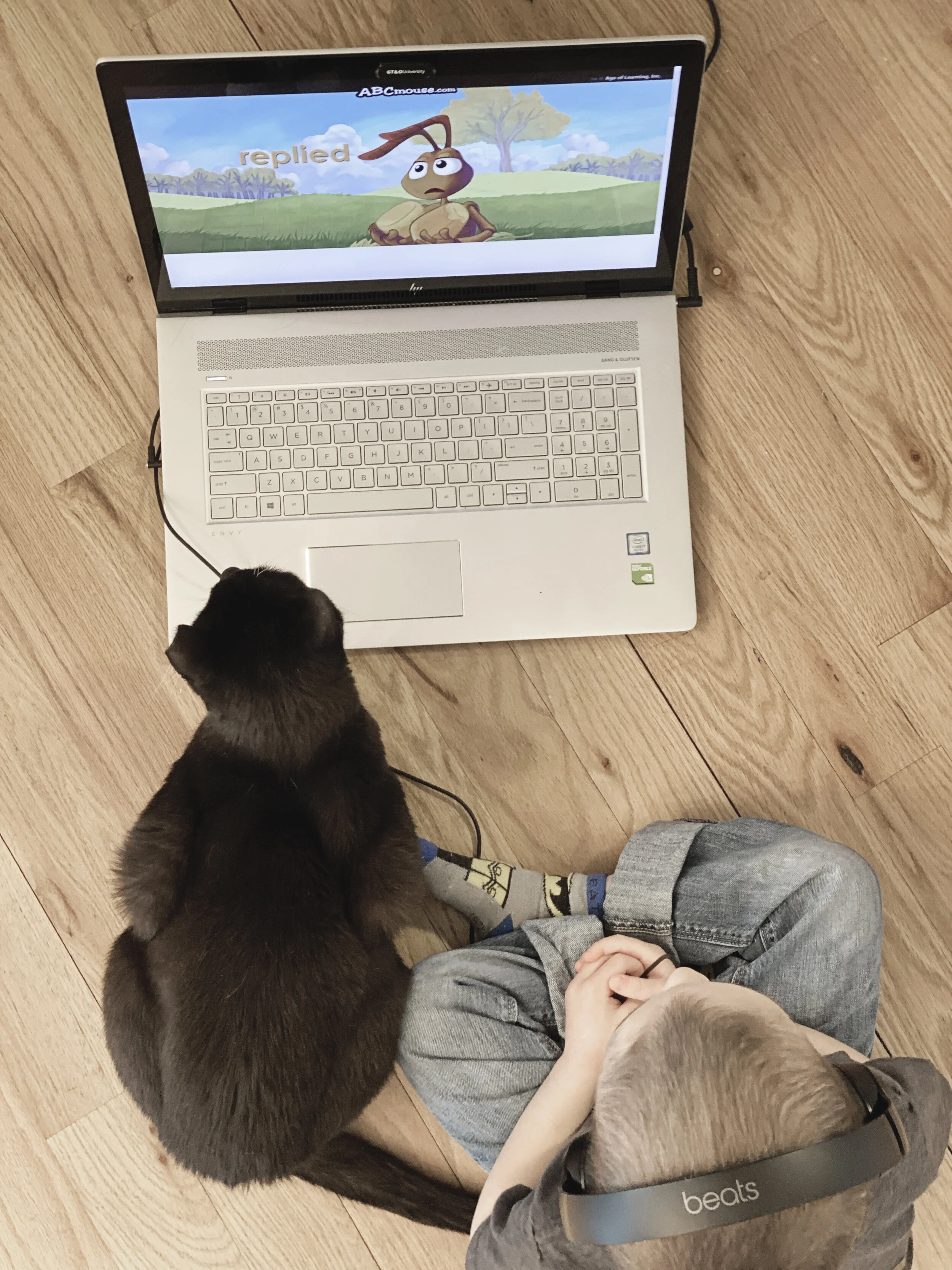 March 16th - Jack and George on the computer.JPG