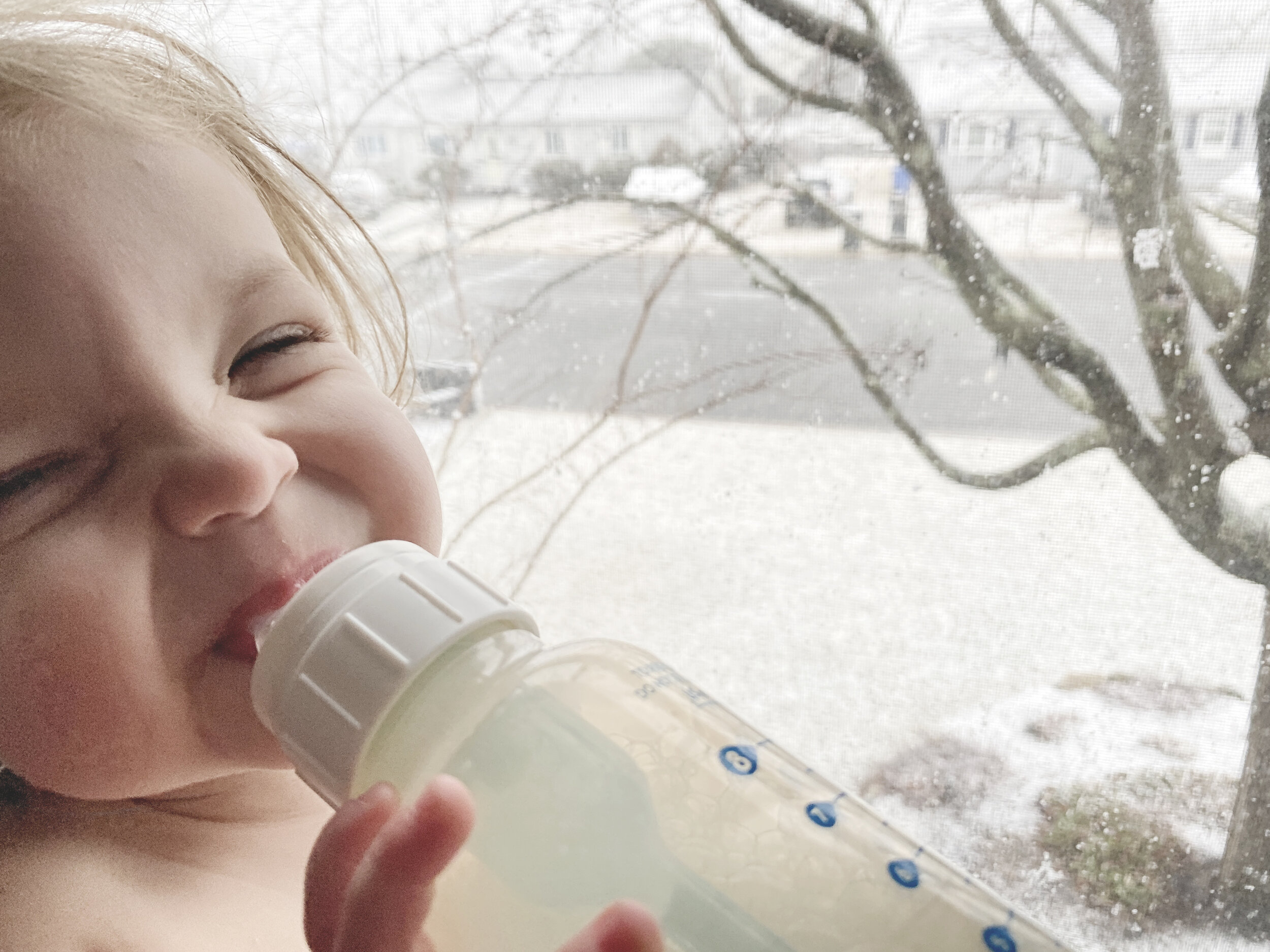 February 7th - Lennie looking at the snow.JPG