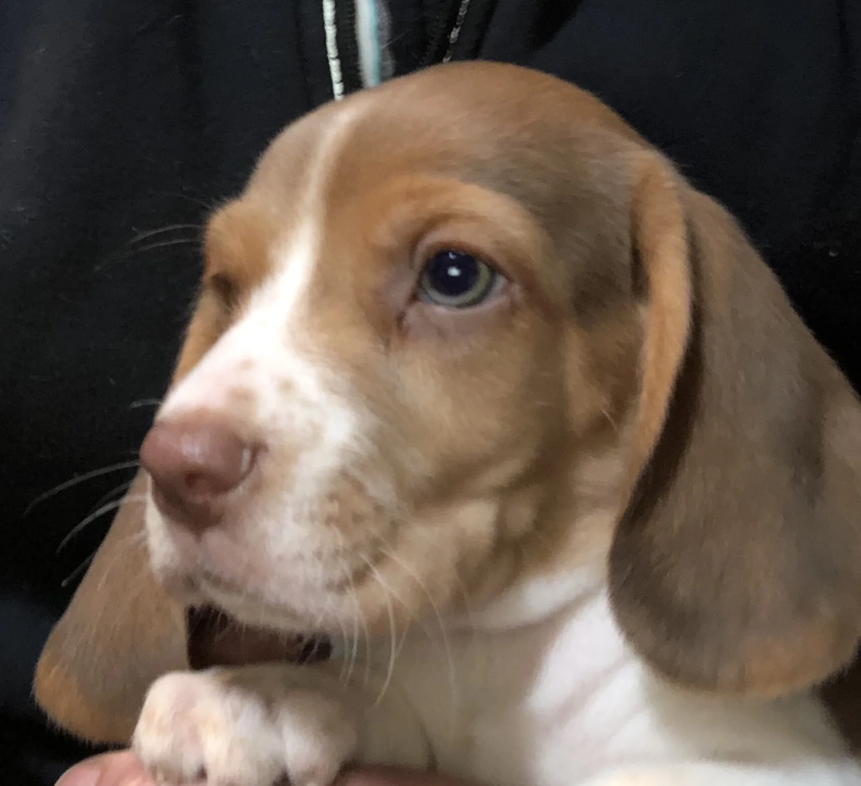 351EC880-BFFF-468A-9DE2-6909DDB84654