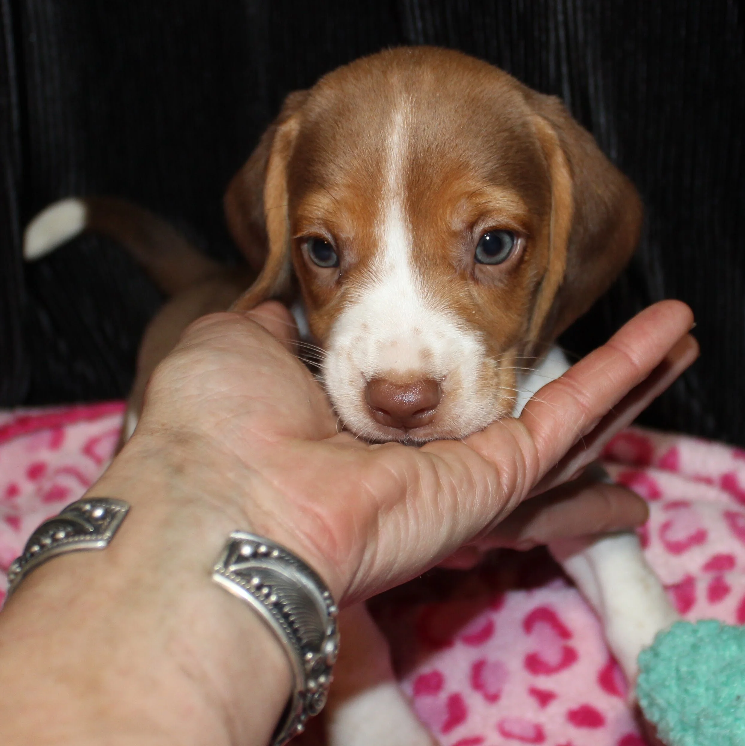 6ACC62DD-C9A8-4391-A1D7-8B42BC947715