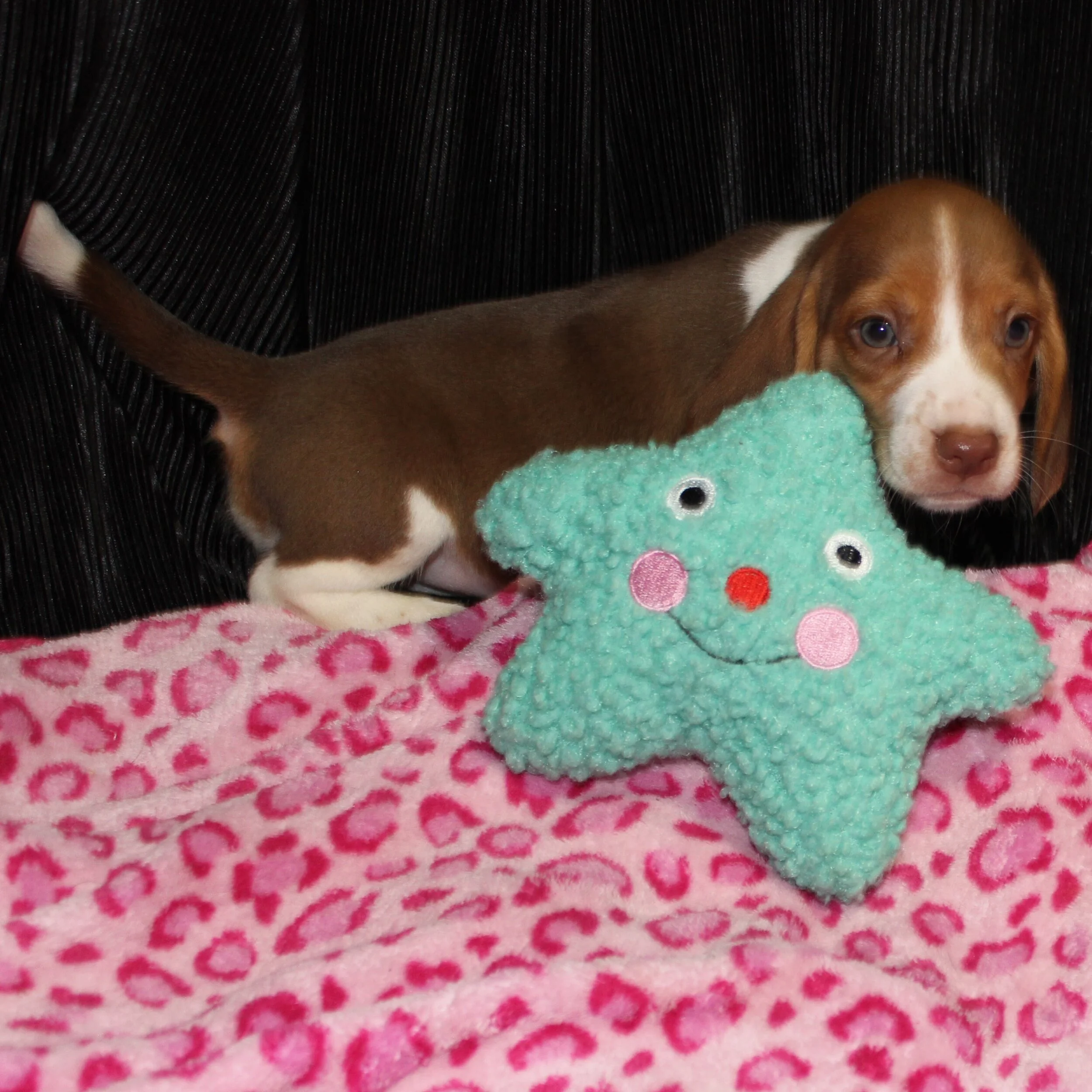 9E5C532D-9285-41F5-AFE4-AE51827787B8